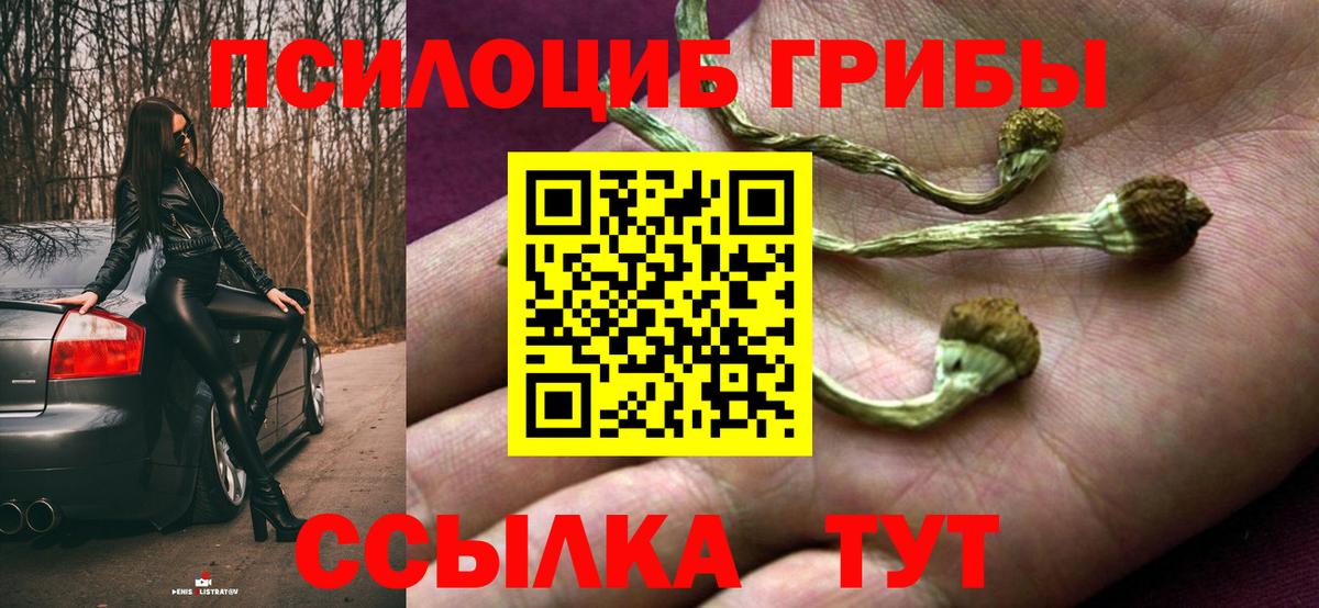 Псилоцибиновые грибы мухоморы  Галлюциногенные грибы MAGIC MUSHROOMS  Вход с VPN  Северодвинск 
